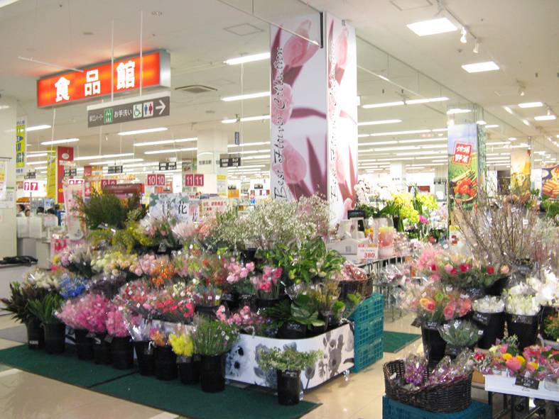 スーパーマーケット内 花コーナー 売り場レイアウトなら株式会社 メッサ